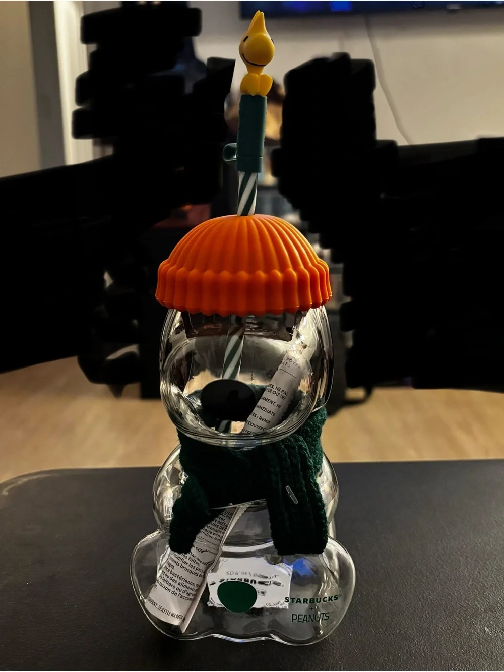 Peanuts Starbucks Orange & Green Snoopy Clear Straw Cup